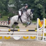 Kanneau 16.2 Belgian warm blood. 13 year old three ring horse. Consistent meter jumper with ribbons in .80, .90 and meters at HITS and Old Salem. Also ribbons in the 2' and 2'6 hunters and equitation at the same venues.