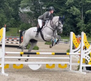 Kanneau 16.2 Belgian warm blood. 13 year old three ring horse. Consistent meter jumper with ribbons in .80, .90 and meters at HITS and Old Salem. Also ribbons in the 2' and 2'6 hunters and equitation at the same venues.